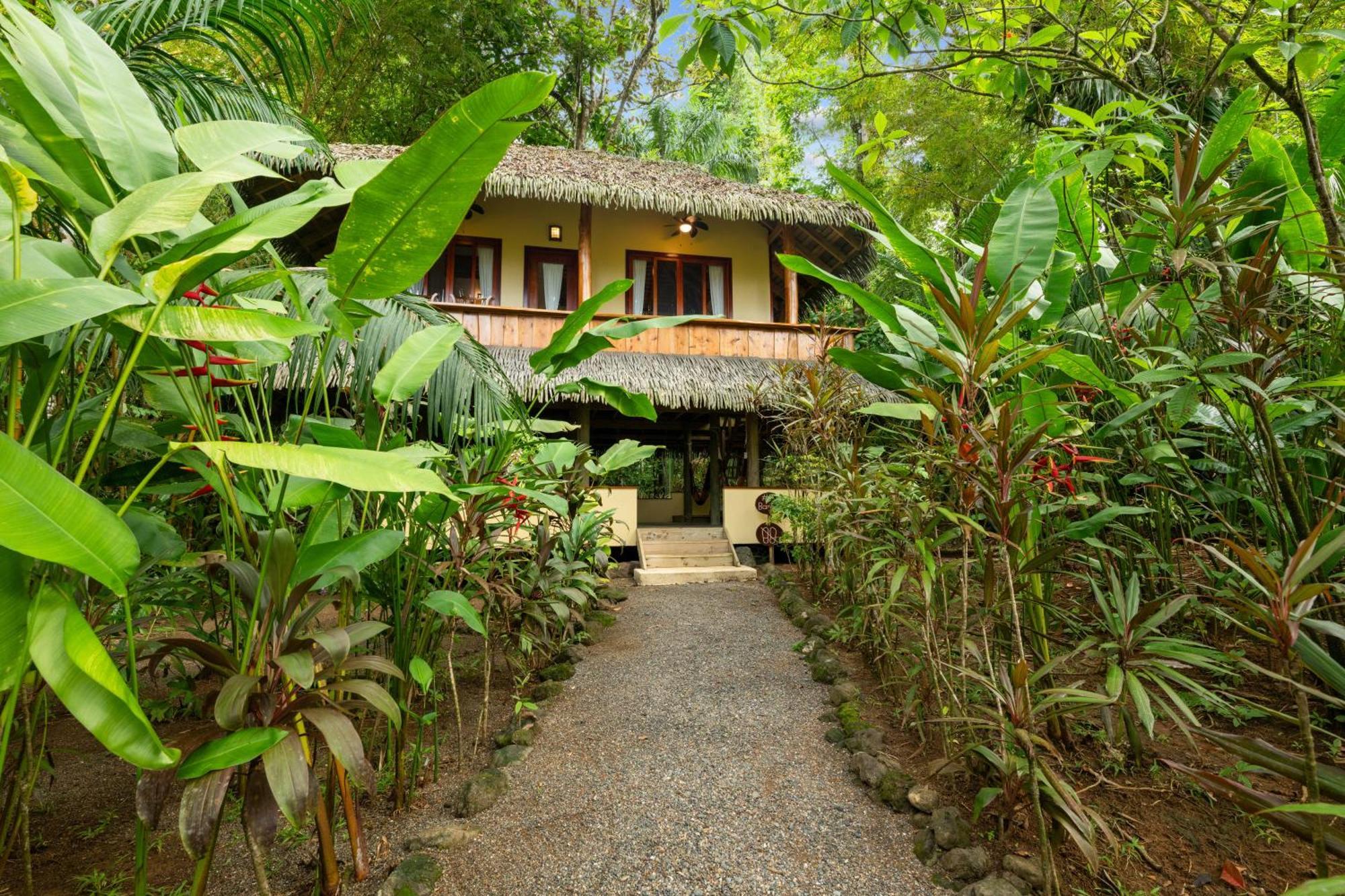 Copa De Arbol Beach & Rainforest Resort Drakes Bay Δωμάτιο φωτογραφία