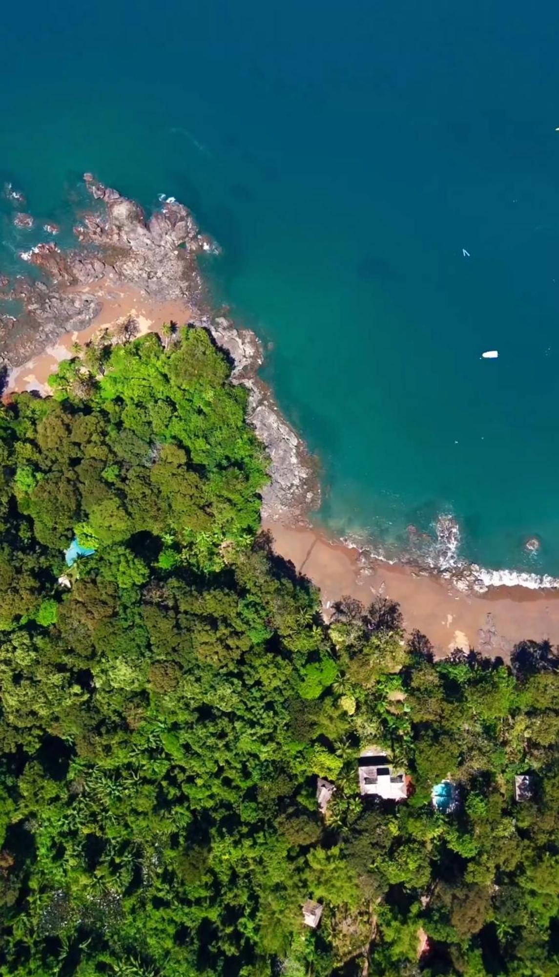 Copa De Arbol Beach & Rainforest Resort Drakes Bay Εξωτερικό φωτογραφία