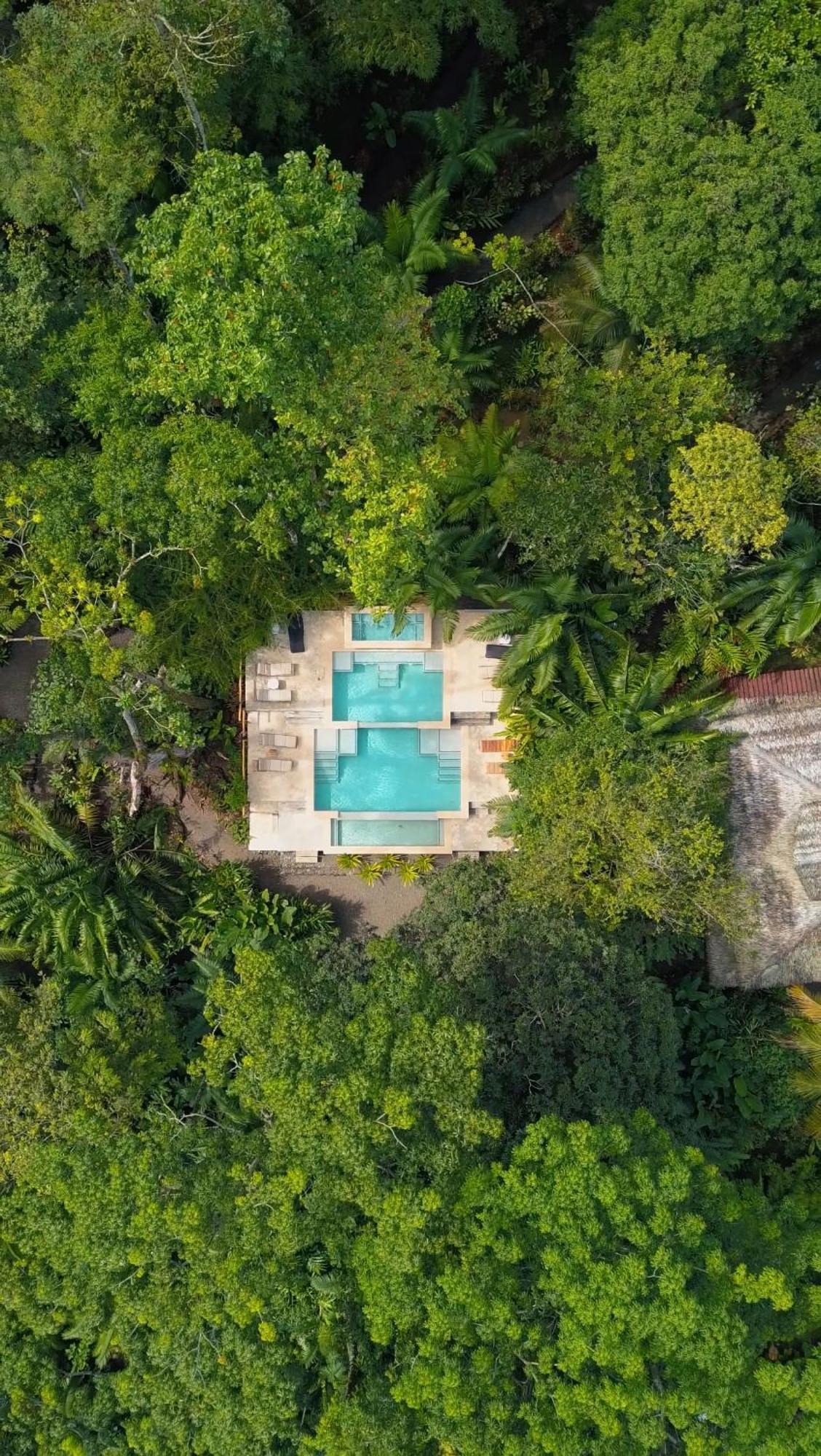 Copa De Arbol Beach & Rainforest Resort Drakes Bay Εξωτερικό φωτογραφία