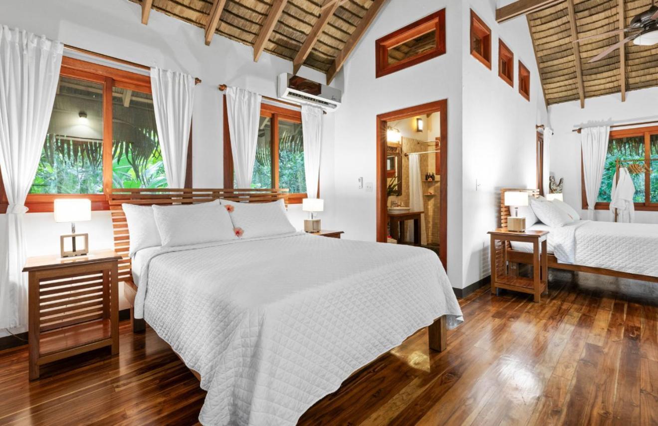 Copa De Arbol Beach & Rainforest Resort Drakes Bay Εξωτερικό φωτογραφία