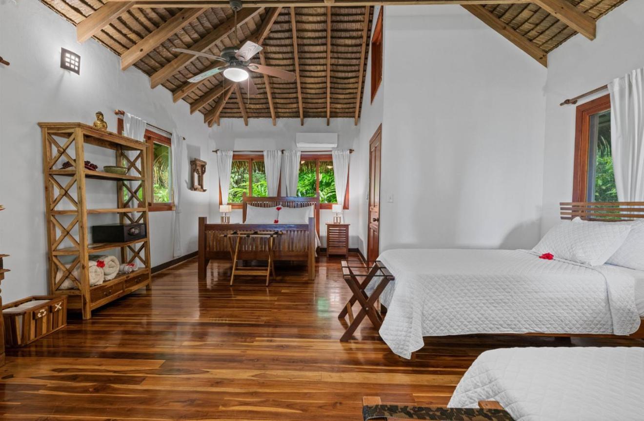 Copa De Arbol Beach & Rainforest Resort Drakes Bay Εξωτερικό φωτογραφία