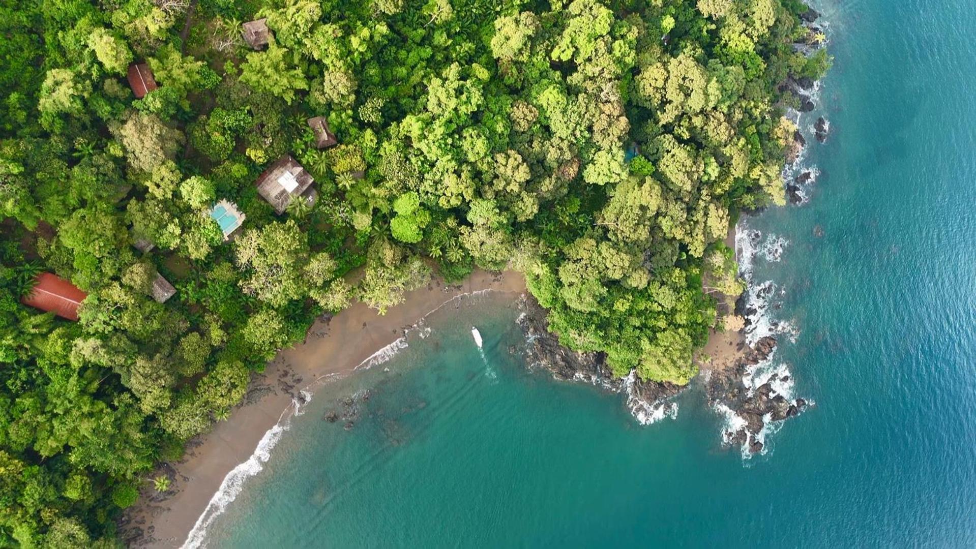 Copa De Arbol Beach & Rainforest Resort Drakes Bay Εξωτερικό φωτογραφία
